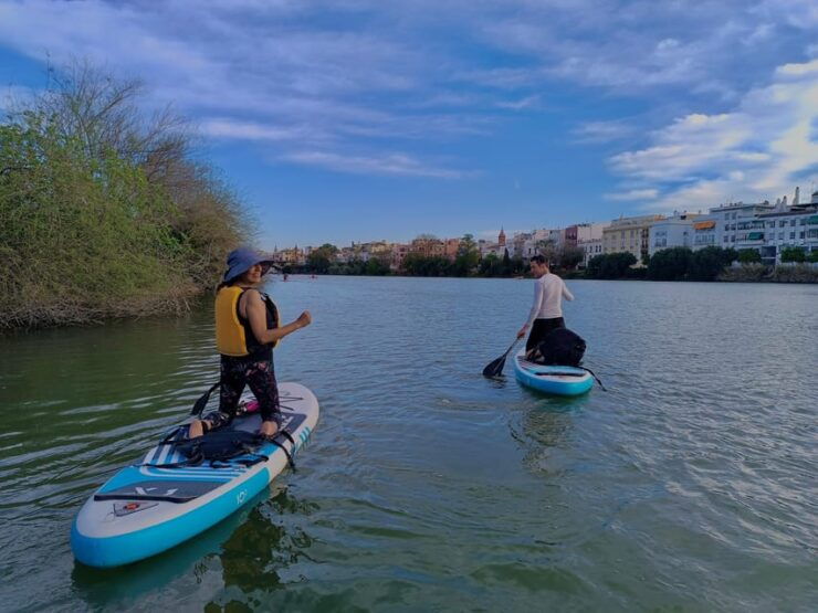Paddle Surf Tour: Historic Seville, Triana and La Cartuja - Itinerary Highlights
