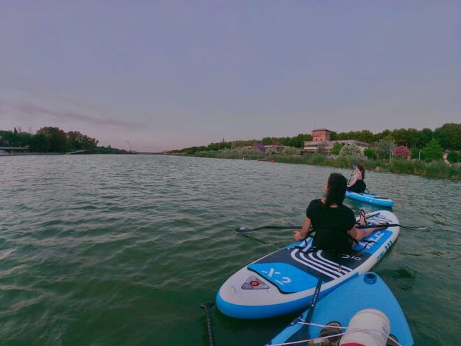 Paddle Surf Tour: Historic Seville, Triana and La Cartuja - Suitable for All Levels