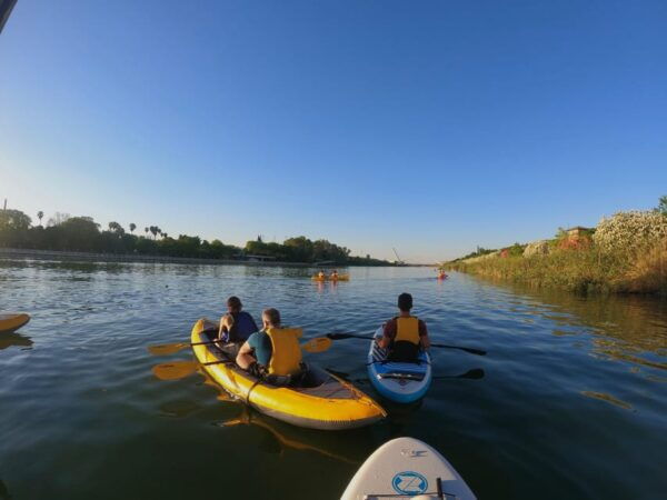 Paddle Surf Tour: Historic Seville, Triana and La Cartuja - Frequently Asked Questions