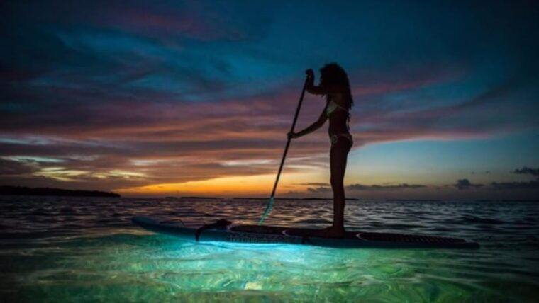 Paddle Surf With Led Lights at Sunset in Menorca - Inclusions