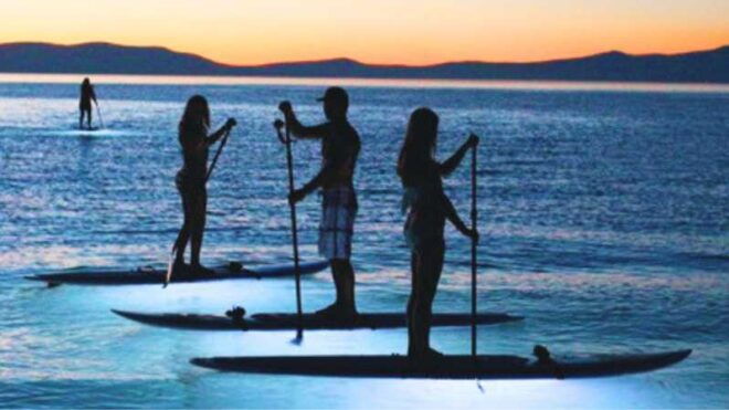 Paddle Surf With Led Lights in Menorca - Group Size and Languages