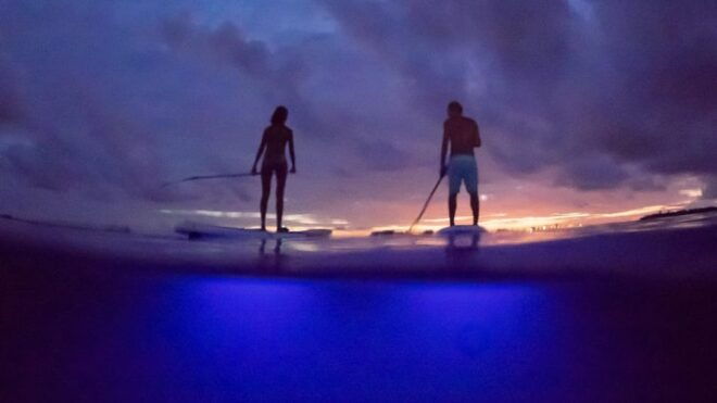 Paddle Surf With Led Lights in Menorca - Paddle Surf Experience