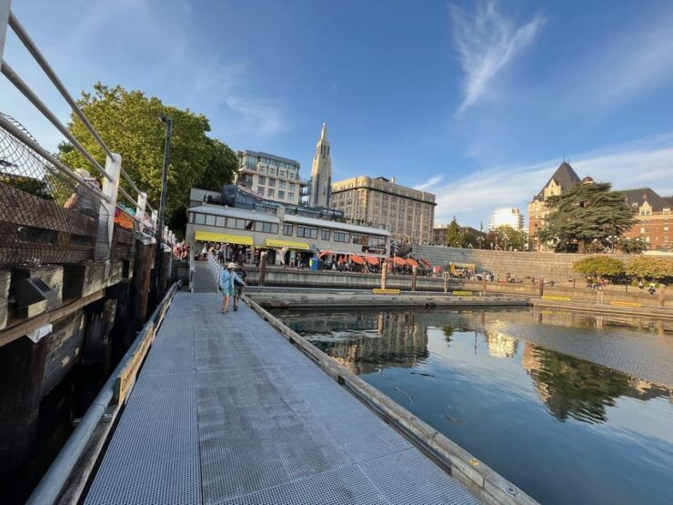 Paddle the Heart of Downtown Victoria - Good To Know