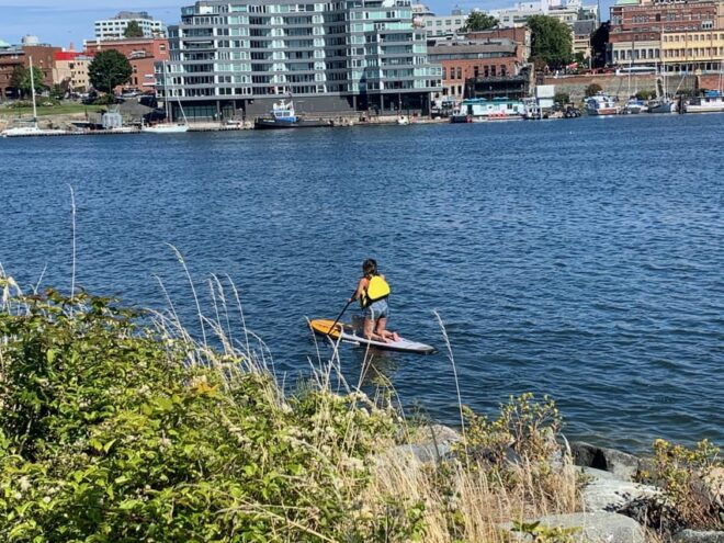 Paddle the Heart of Downtown Victoria - Participant Information