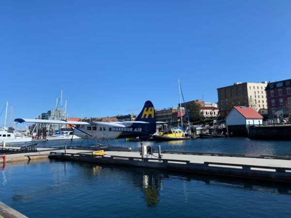 Paddle the Heart of Downtown Victoria - Customer Reviews