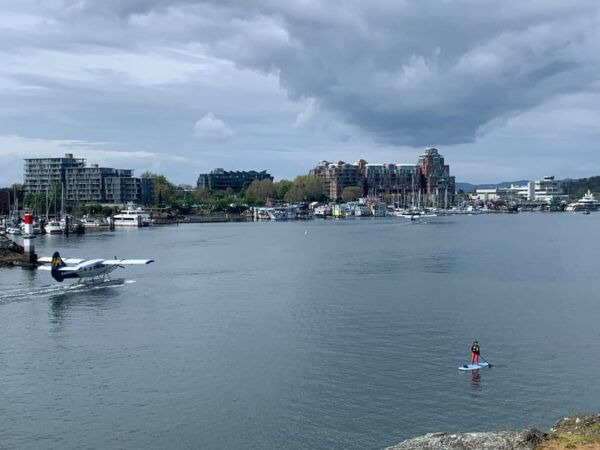 Paddle the Heart of Downtown Victoria - Booking and Pricing