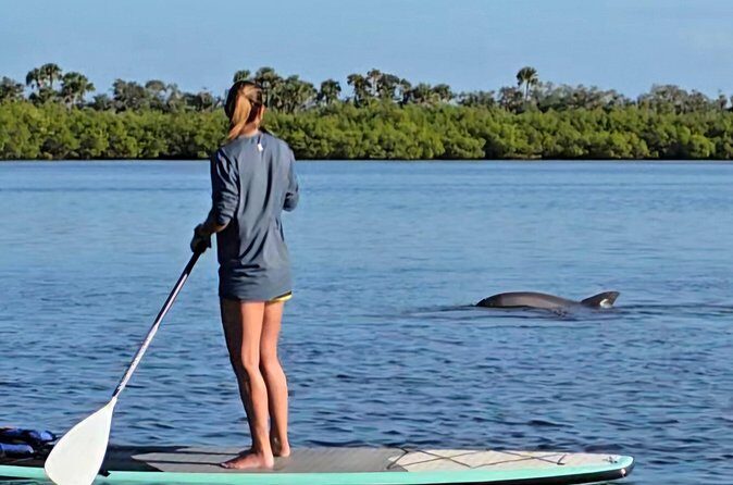 Paddle With Native Wildlife - Practical Tips for Participants