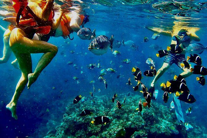 Paddleboard and Snorkeling Experience in Los Arcos - An In-Depth Look at the Experience