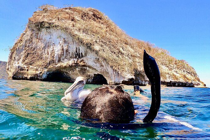 Paddleboard and Snorkeling Experience in Los Arcos - The Sum Up: Who Should Book This Tour?