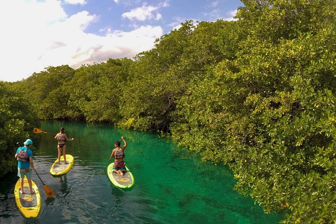 Paddleboard Cenote Tour - Pickup and Cancellation Policy