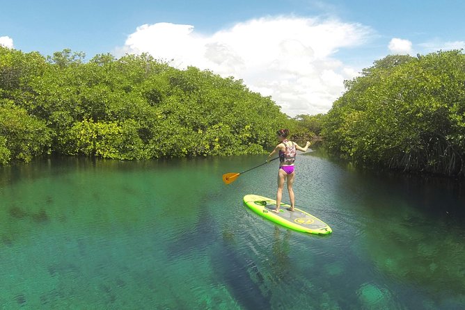 Paddleboard Cenote Tour - Additional Information