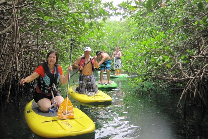 Paddleboard Cenote Tour - Background