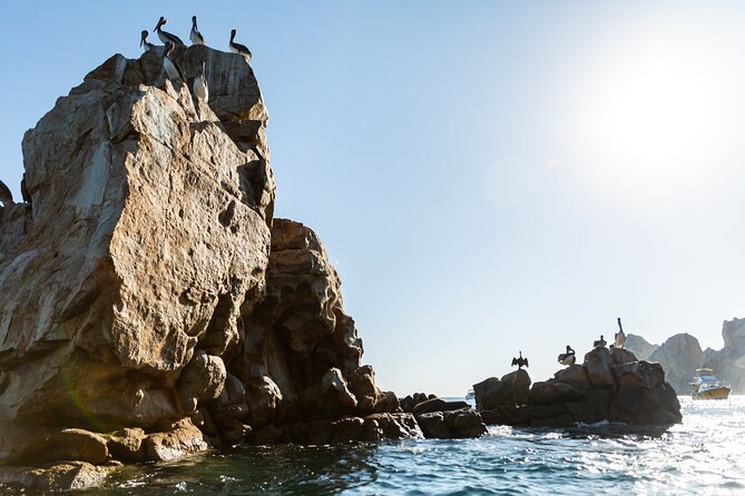 Paddleboard Expedition to the Arch of Cabo San Lucas, Lovers Beach & Snorkel - Pricing and Terms & Conditions