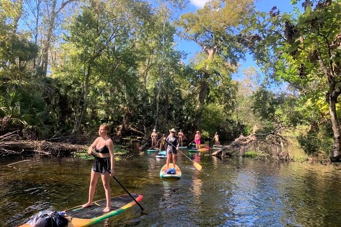 Paddleboard in Crystal Clear Spring Water! Beginners Welcome! Private Location. - Paddleboarding in Wekiva State Park