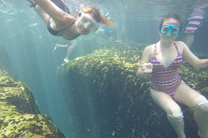 Paddleboard in Crystal Clear Spring Water! Beginners Welcome! Private Location. - Wildlife Encounters and Relaxation Opportunities