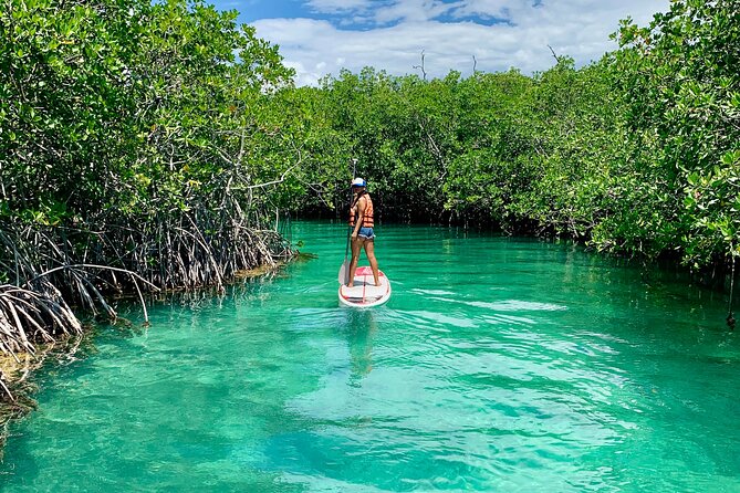 Paddleboard Kayak Tour in Cancun - The Sum Up