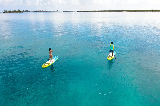 Paddleboard Mangrove Eco Tour - Inclusions and Equipment