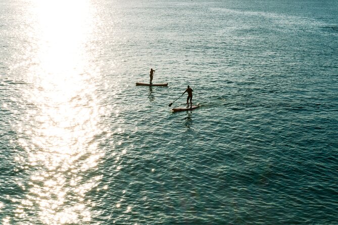 Paddleboard Mini Lesson From Newquay - What to Expect