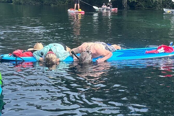Paddleboard Rental  Three Sisters Springs & Manatee Refuge - An Overview of the Experience