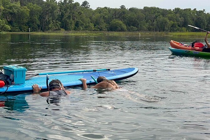 Paddleboard Rental  Three Sisters Springs & Manatee Refuge - Who Will Love This Experience?