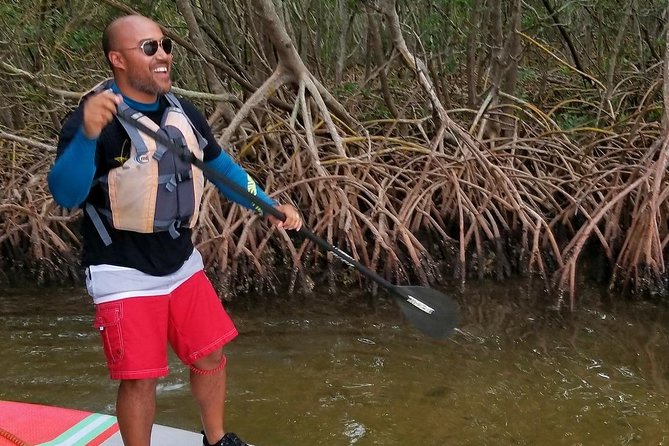 Paddleboard Tour Through Lido Mangrove Tunnels - Tour Details