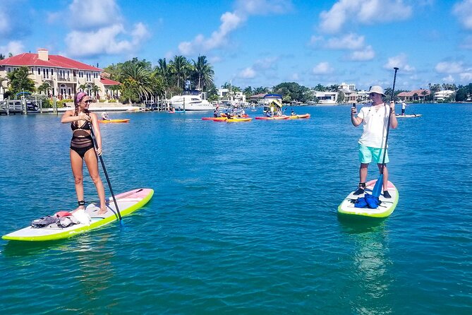 Paddleboard Tour Through Lido Mangrove Tunnels - Inclusions