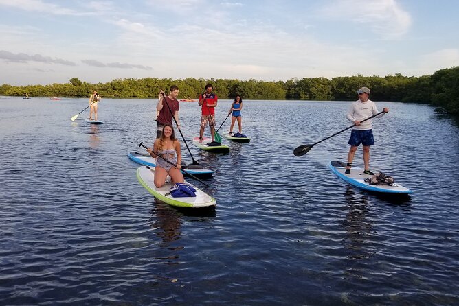 Paddleboard Tour Through Lido Mangrove Tunnels - Additional Information