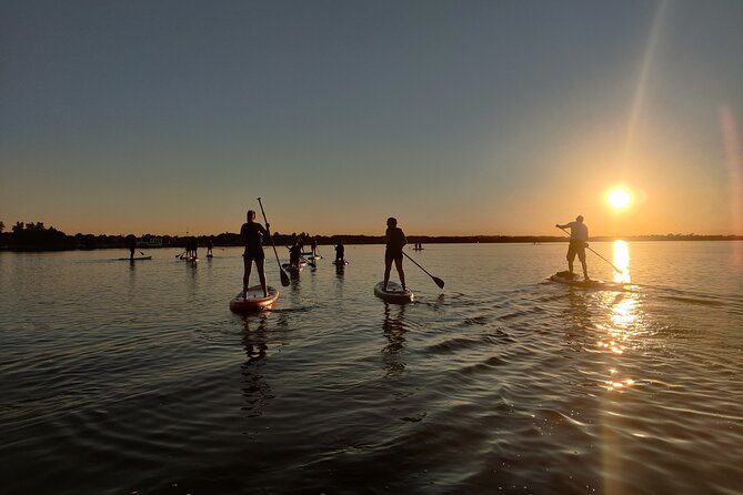 Paddleboarding Experience in Malahide - Booking Confirmation and Accessibility
