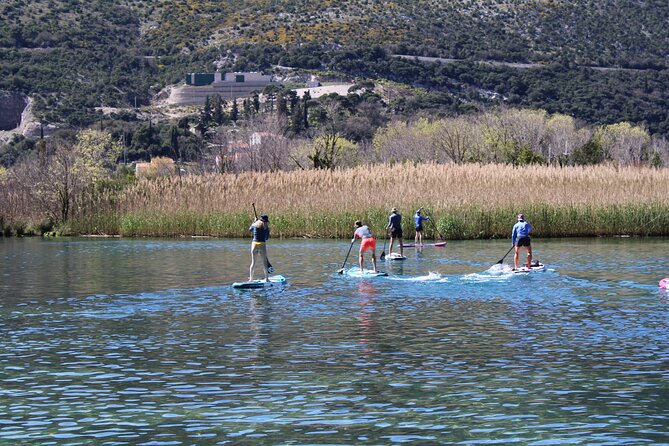 Paddleboarding on River Ombla - Activity Overview