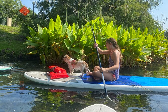 Paddleboarding With Dogs and Rabbits  - Orlando - Activity Details
