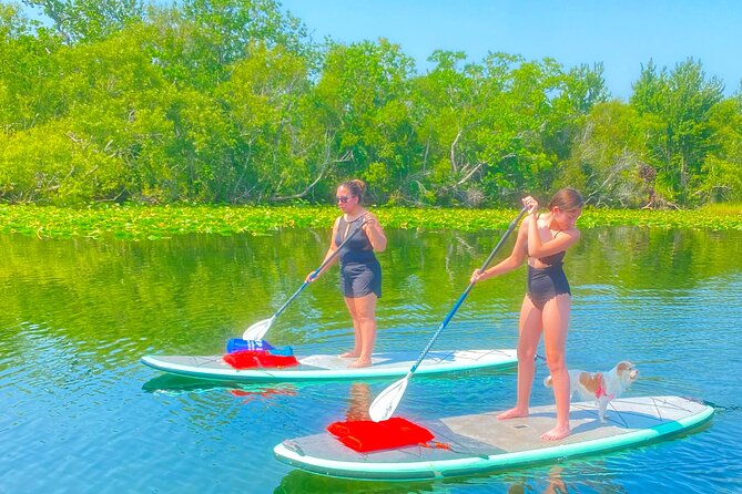Paddleboarding With Dogs and Rabbits  - Orlando - What to Expect
