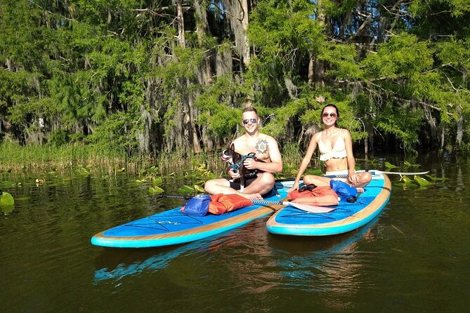 Paddleboarding With Dogs and Rabbits  - Orlando - Reviews