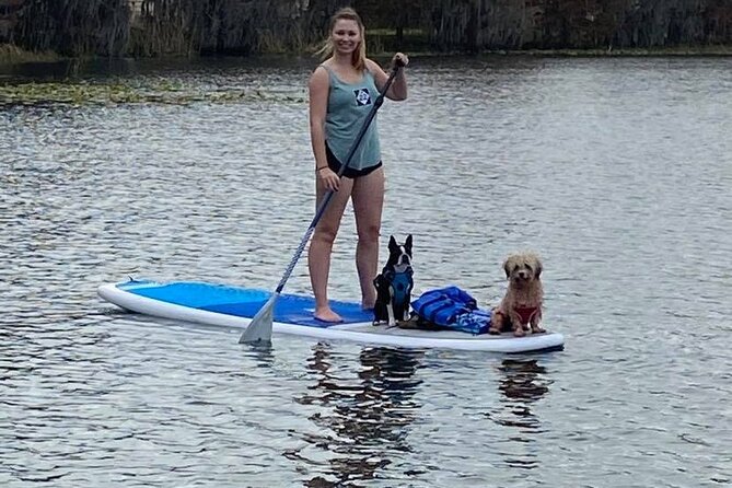Paddleboarding With Dogs and Rabbits  - Orlando - Other Details