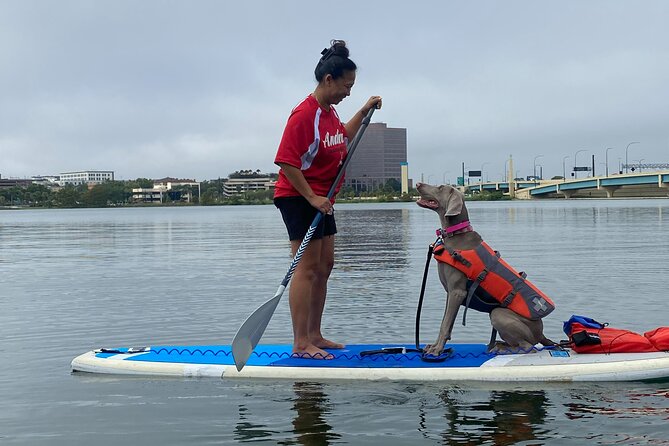 Paddleboarding With Dogs and Rabbits  - Orlando - Common Questions