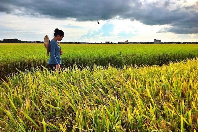 Paddy Field, Fishing And Fireflies Tour - Good To Know
