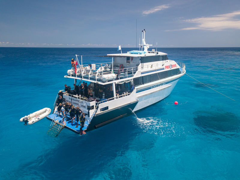 PADI 3-Day/2 Night Liveaboard Trip - Three days on the reef, not just a quick visit