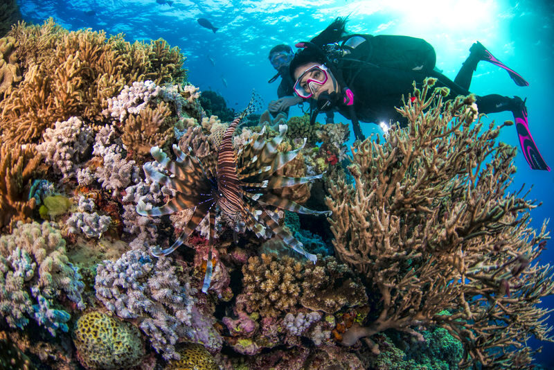 PADI 3-Day/2 Night Liveaboard Trip - Day three: two morning sessions before the return
