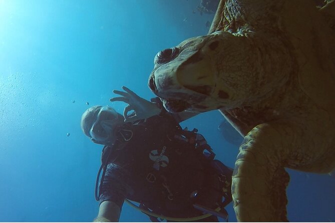 PADI Advanced Diving Course in Hurghada - Learn Scuba Diving - Common Questions