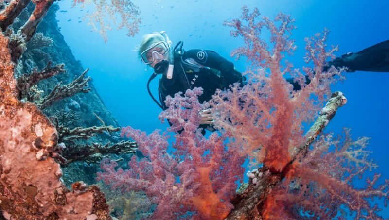 PADI Advanced: Next-Level Diving in Boracay with PADI Center - What to know before booking