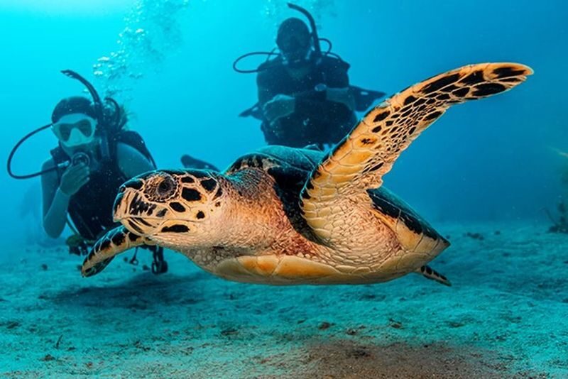PADI Advanced: Next-Level Diving in Boracay with PADI Center - A course for divers ready to go further