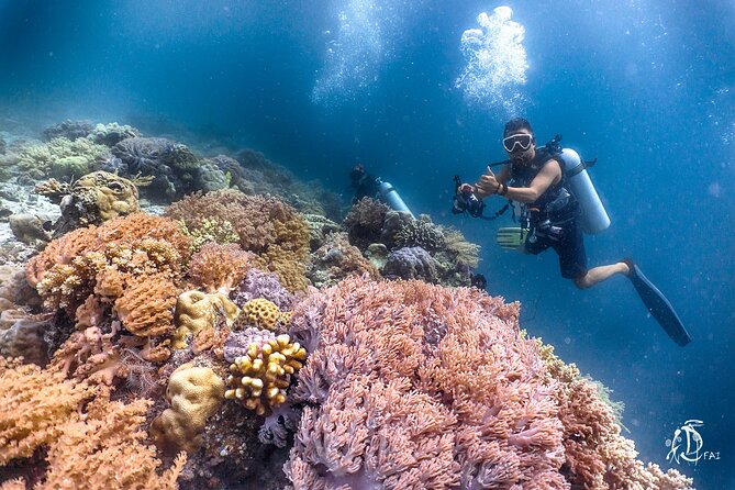 PADI Advanced Open Water Course Kota Kinabalu - End Point Details