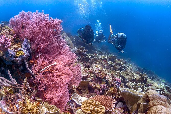 PADI Advanced Open Water Course Kota Kinabalu - Frequently Asked Questions