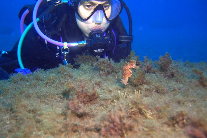 PADI Advanced Open Water Diver Course (ADV) - Additional Info