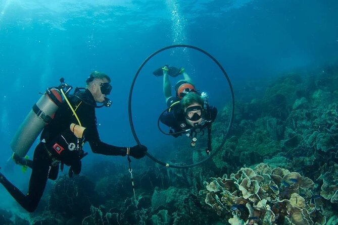 Padi Advanced Open Water Diver Courses (Start at Ko Kut) - Certification Process
