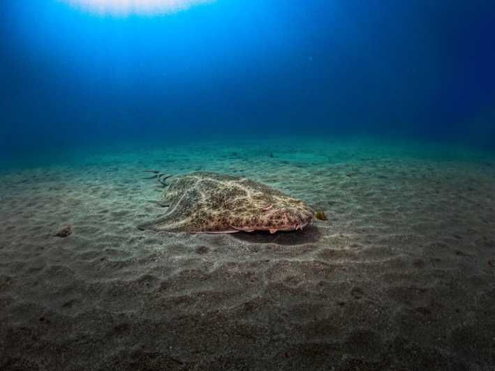 PADI ADVANCED OPEN WATER DIVER - Good To Know