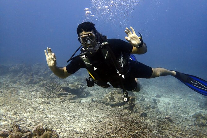 PADI Discover Scuba 2 Times Diving Phuket - Booking and Pricing Information