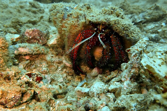 PADI Discover Scuba 2 Times Diving Phuket - Common Questions