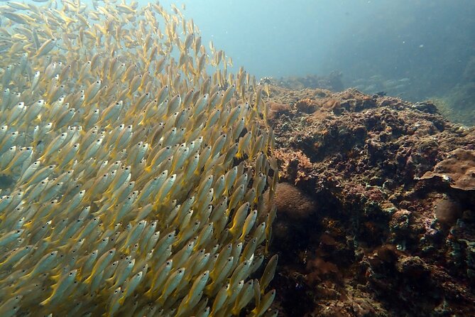 PADI Discover Scuba 2 Times Diving Phuket - The Sum Up