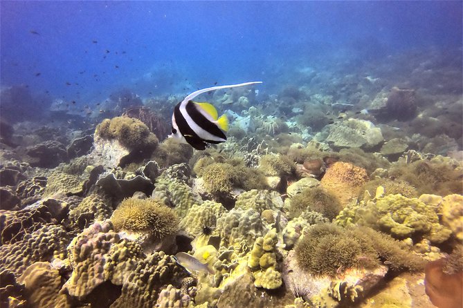 PADI Discover Scuba Dive Experience - Additional Information