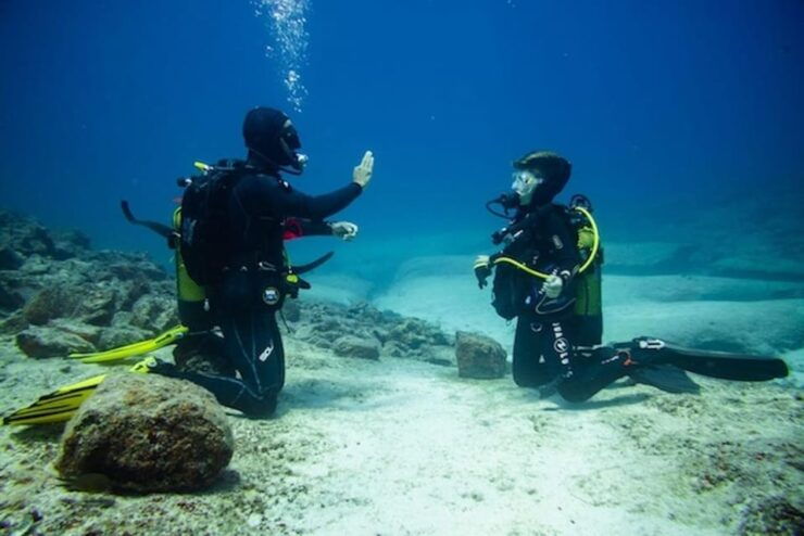 PADI Discover Scuba Diving: at Hol Chan Marine Reserve - Dive Site Highlights